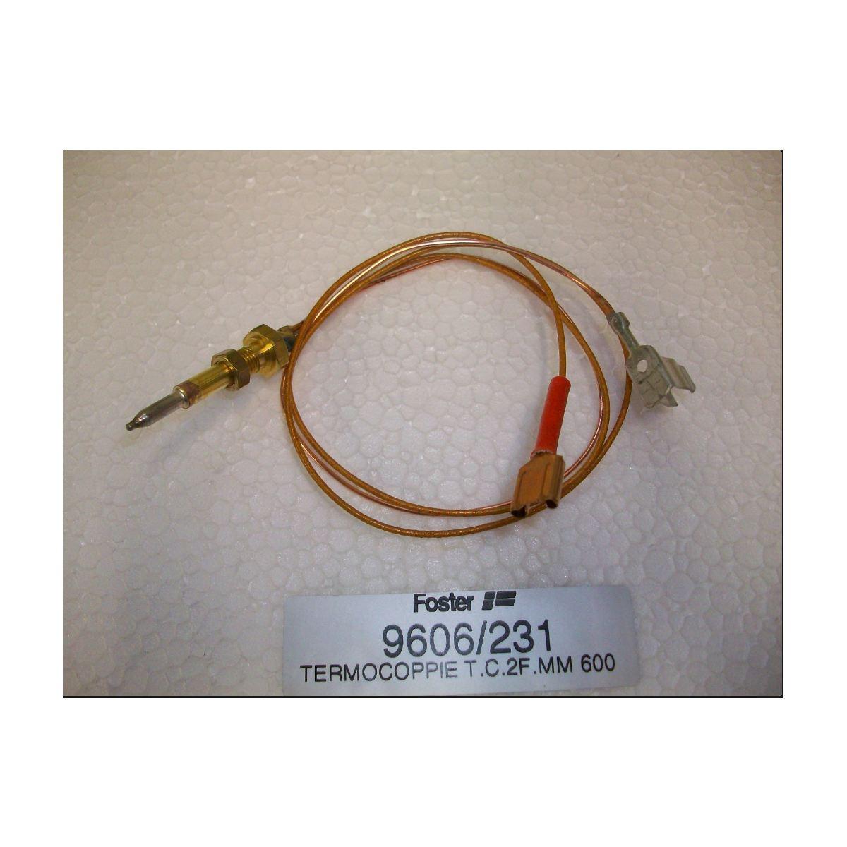 Termocoppia triplacorona - foster