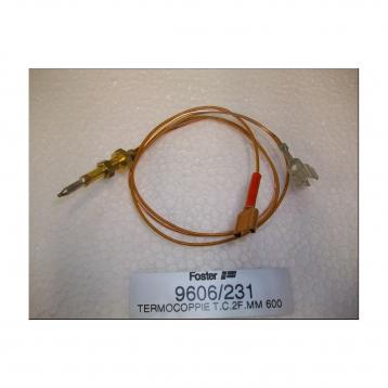 Termocoppia triplacorona - foster